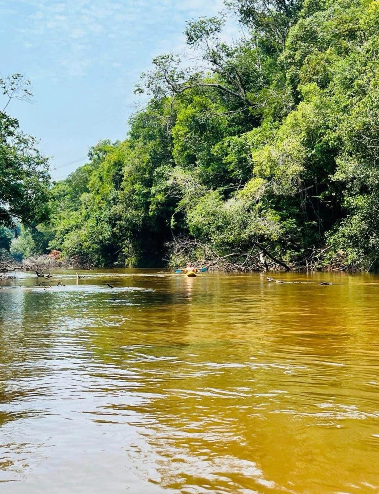 Linda Fazenda no Rio das Garças - 1