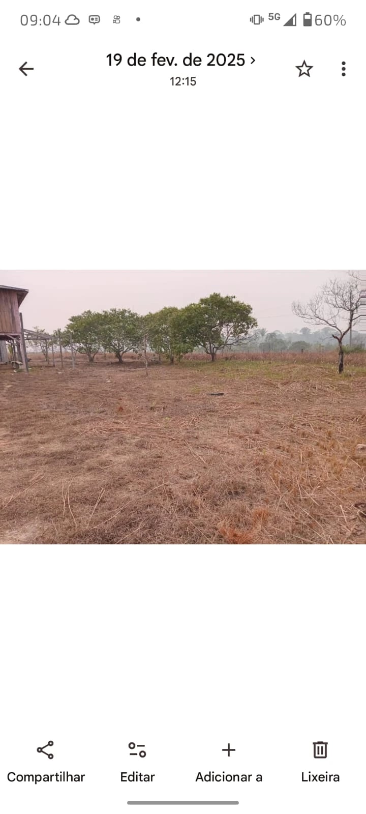 Sítio à Venda – BR-319 | Km 17 | Sentido Humaitá - 1